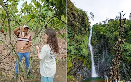 Guayaquil Cloud forest and cocoa farm tour & Lunch