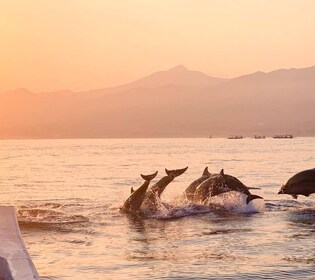 North Bali : Lovina Dolphins and Ulun Danu Temple