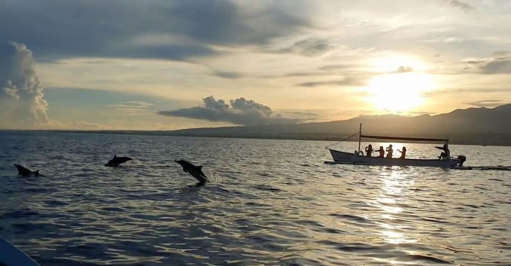Picture 9 for Activity North Bali : Lovina Dolphins and Ulun Danu Temple