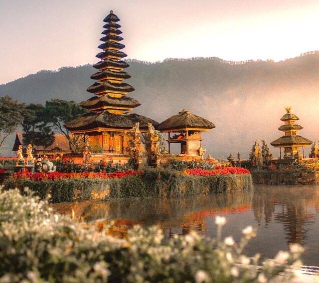 Picture 10 for Activity North Bali : Lovina Dolphins and Ulun Danu Temple