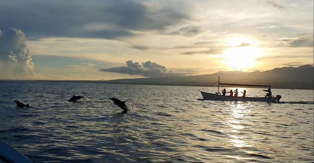 Picture 9 for Activity North Bali : Lovina Dolphins and Ulun Danu Temple