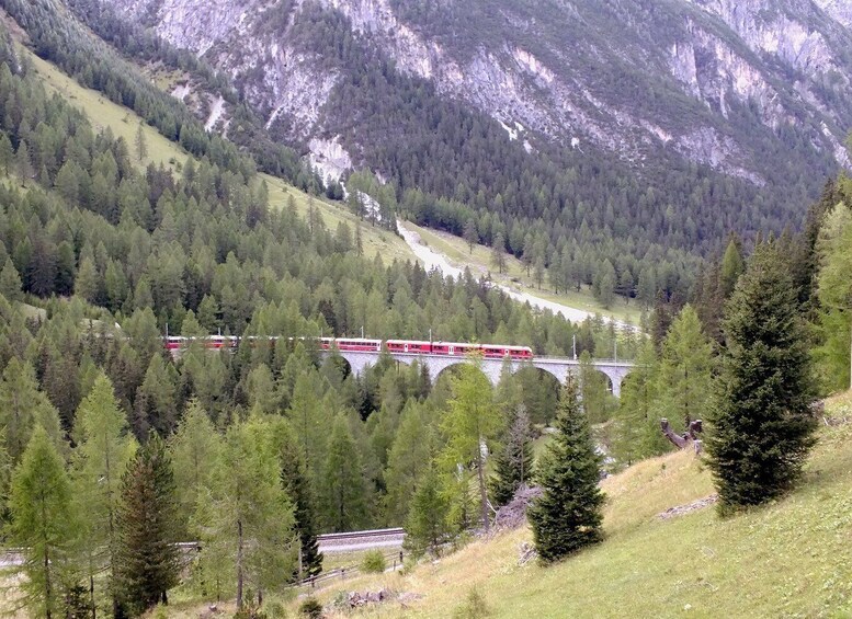 Picture 4 for Activity From Lake Como: Bernina Red Train Tour to St. Moritz