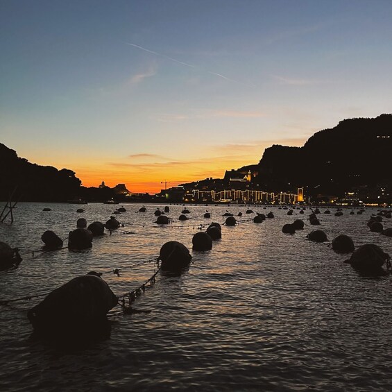 Picture 2 for Activity Portovenere: Palmaria Island & Lord Byron Cave Sunset Cruise