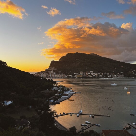 Picture 1 for Activity Portovenere: Palmaria Island & Lord Byron Cave Sunset Cruise