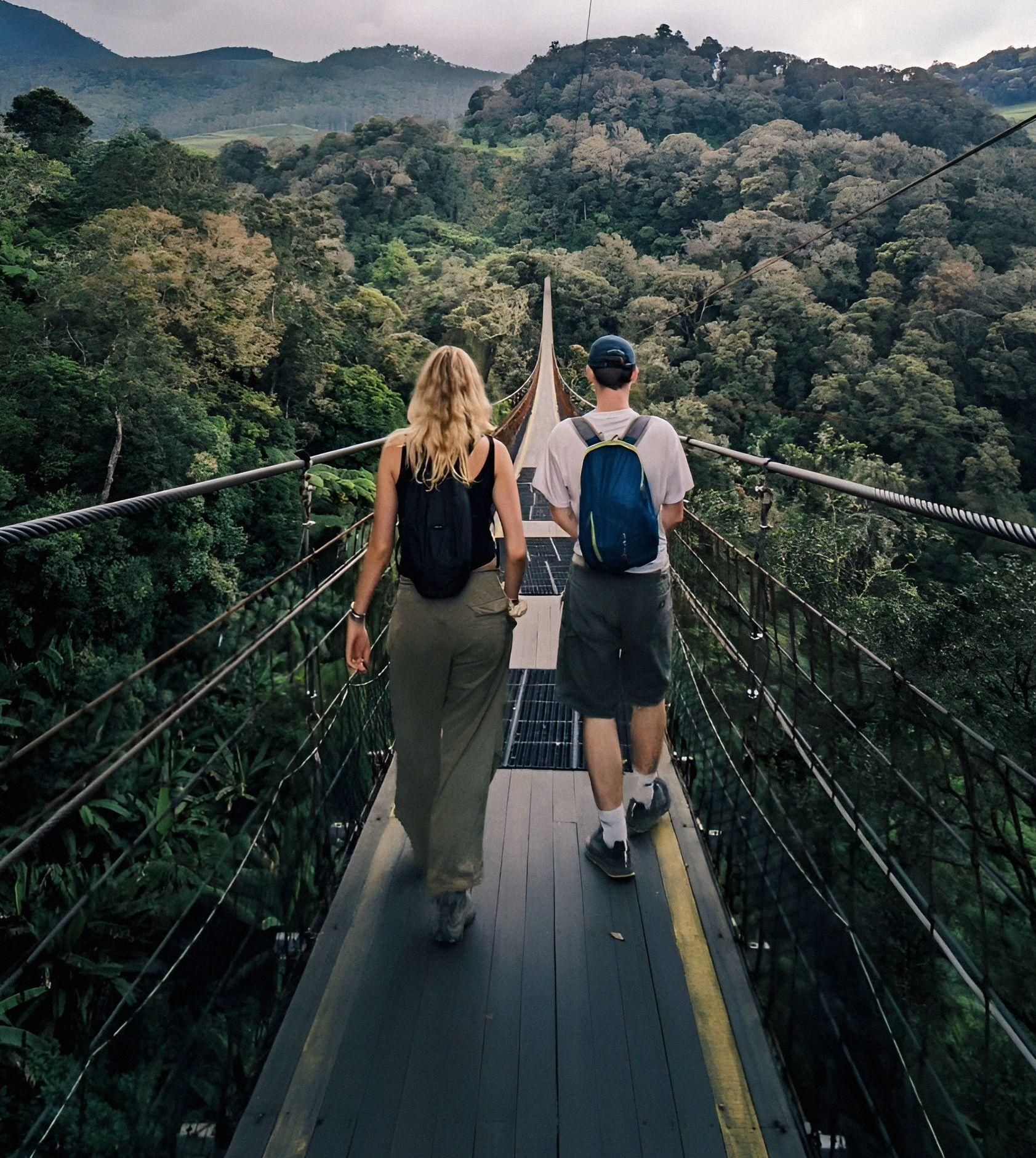 White Crater, Scenic Tea Fields & Suspension Bridge Tour