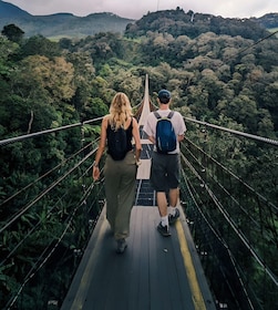 The White Crater Escape, Scenic Tea Plantations & Hot Spring