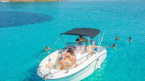 Sharm El Sheikh: Privat snorkle-tur med speedbåd om eftermiddagen