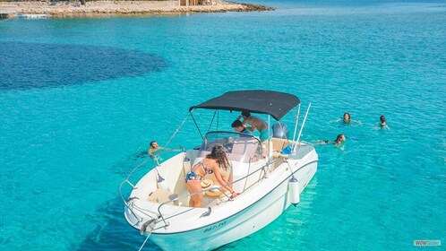 Sharm El Sheikh: Private Speedboat Schnorchel Tour am Nachmittag