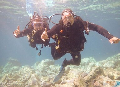 Tenerife: Basic Diver Programme w/2 Dives
