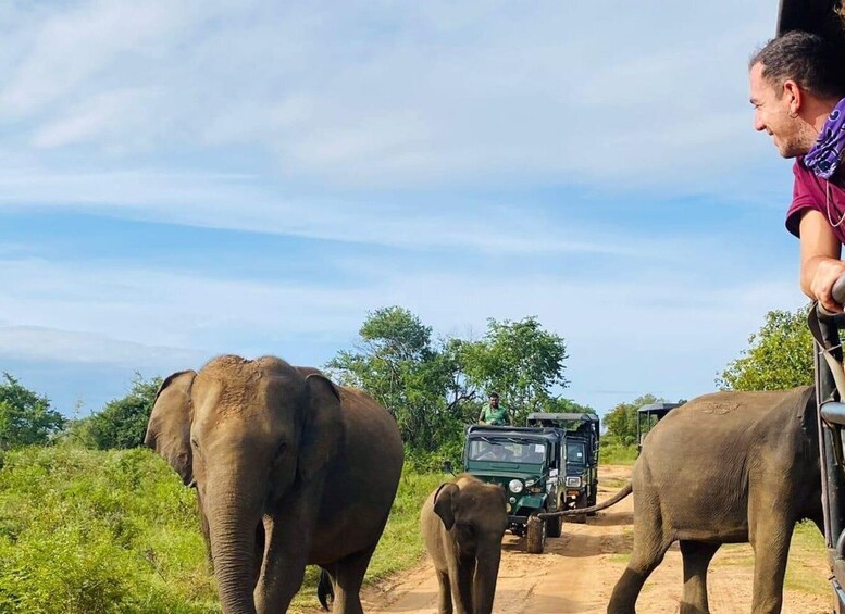 All Inclusive Minneriya or Eco National Park Half Day Safari