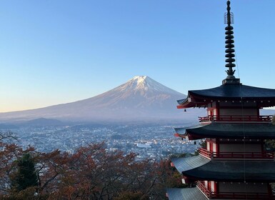 Tokyo: Mt Fuji Area Guided Tour with Traditional Lunch