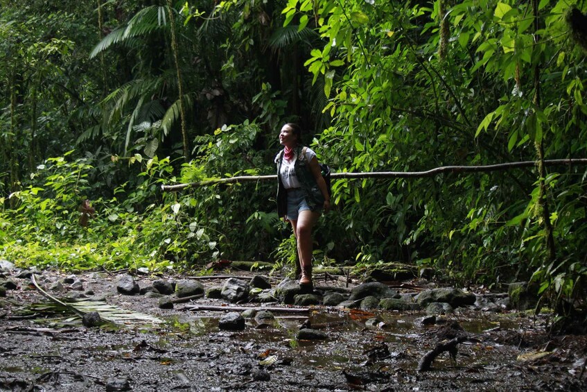 Picture 3 for Activity La Fortuna: Arenal Volcano, Lunch, & Hotsprings Morning Tour