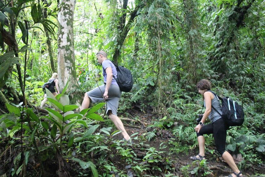 Picture 2 for Activity La Fortuna: Arenal Volcano, Lunch, & Hotsprings Morning Tour