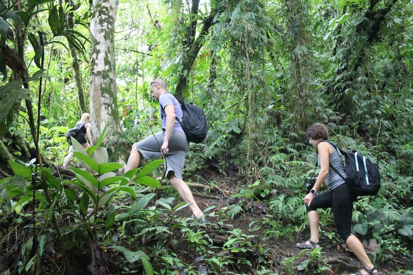 Picture 2 for Activity La Fortuna: Arenal Volcano, Lunch, & Hotsprings Morning Tour