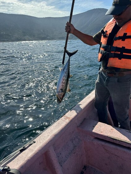 Picture 4 for Activity Sport Fishing by Boat & Chilean Empanadas From Santiago