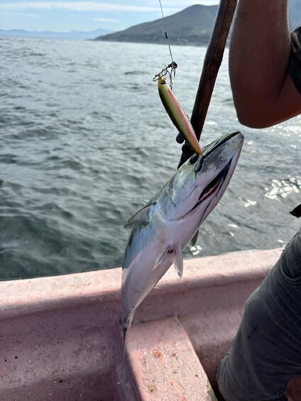 Picture 2 for Activity Sport Fishing by Boat & Chilean Empanadas From Santiago