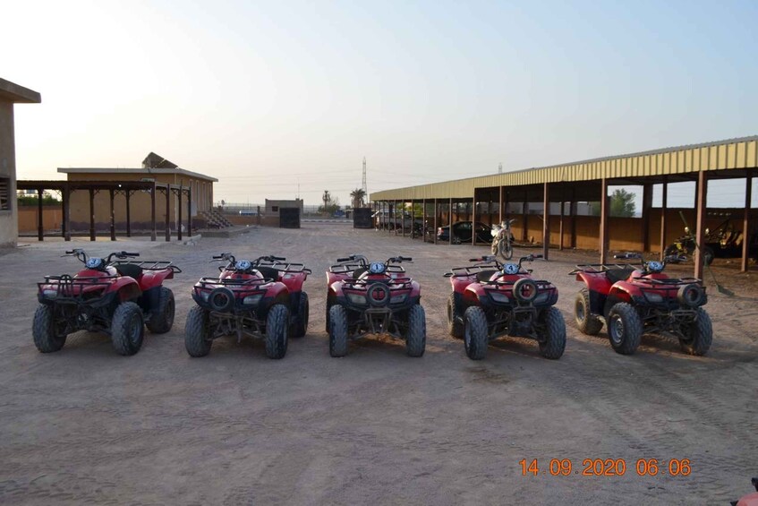 Picture 3 for Activity Sharm El Sheikh: Desert Safari with Quad Biking & Stargazing