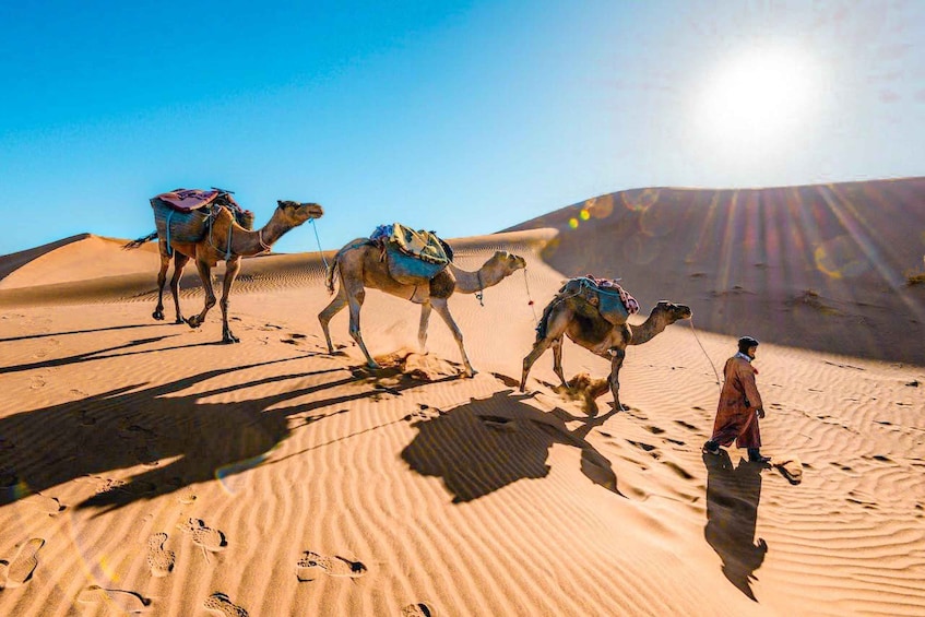 From Fes to Marrakech: 3-Day Sahara Desert Discovery Tour