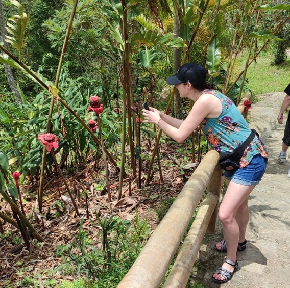 Picture 1 for Activity From Huatulco: Coffee Private Experience