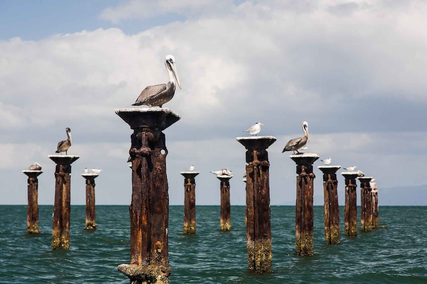 Picture 6 for Activity Santo Domingo: Los Haitises National Park & Barcadi Island