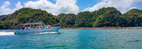 Santo domingo: Parque Nacional Los Haitises e Isla Barcadi