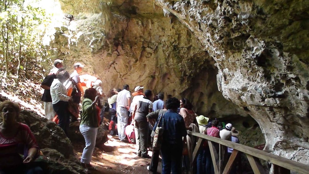 Picture 3 for Activity Santo Domingo: Los Haitises National Park & Barcadi Island