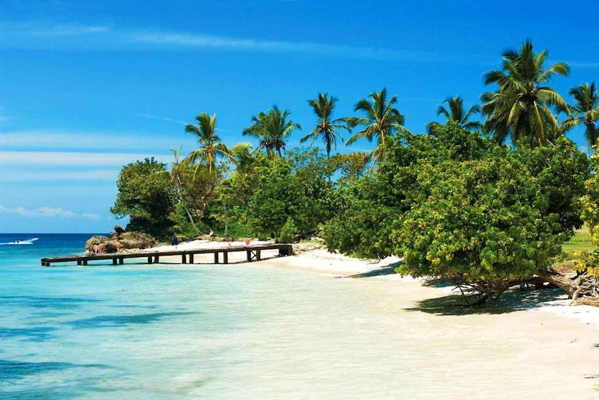 Picture 4 for Activity Santo Domingo: Los Haitises National Park & Barcadi Island