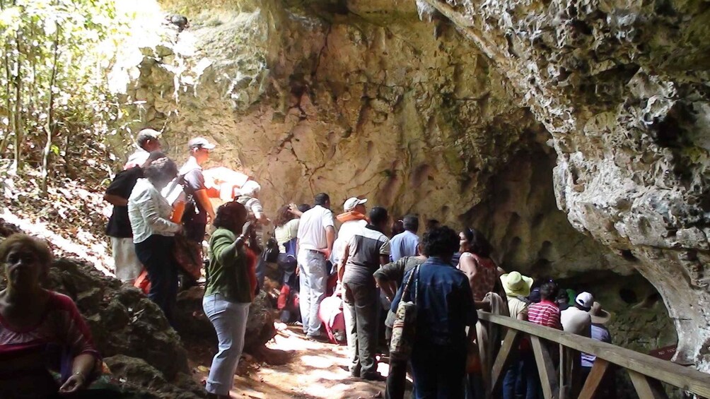 Picture 3 for Activity Santo Domingo: Los Haitises National Park & Barcadi Island