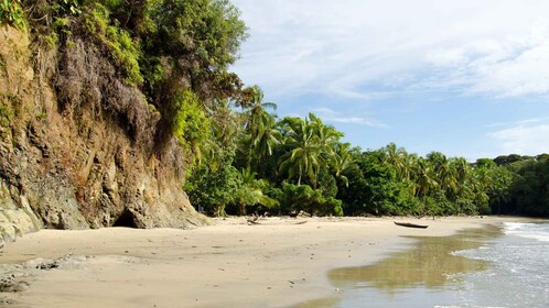 Excursión de 4 días por el Pacífico: Explora los Tesoros Ocultos de Guapi.