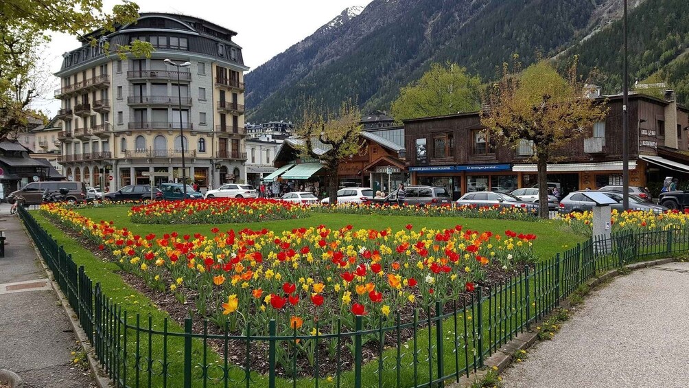 Chamonix: Private Guided Walking Tour