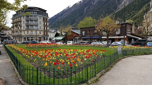 Chamonix: visita guiada privada a pie