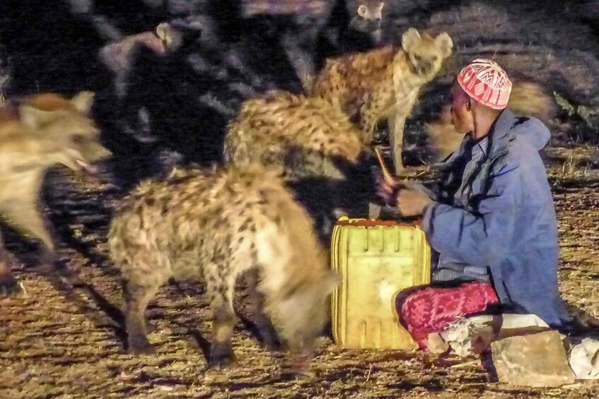 Picture 9 for Activity Harar: an ancient walled city, the fourth holiest in Islam