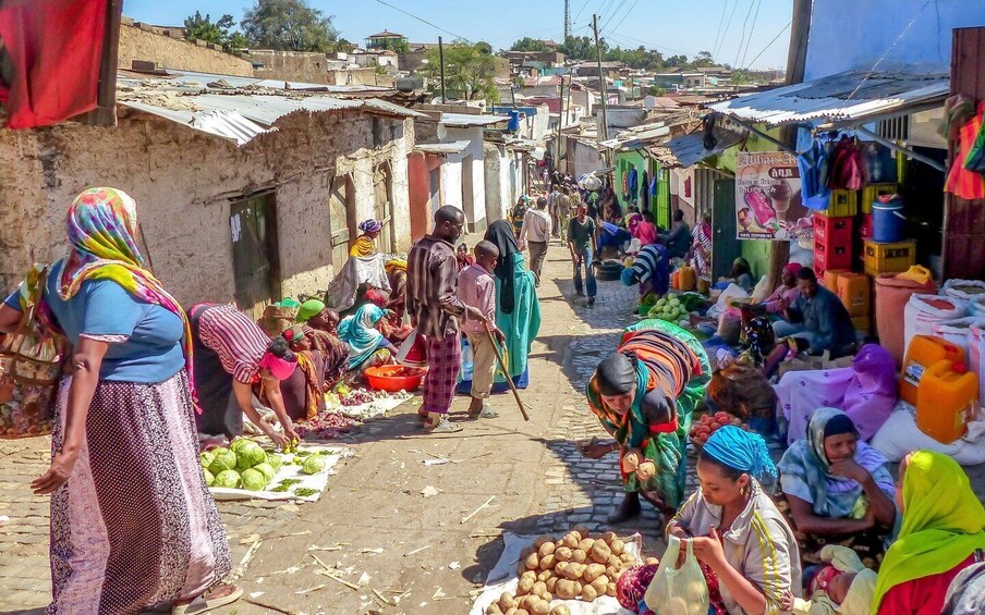 Picture 3 for Activity Harar: an ancient walled city, the fourth holiest in Islam