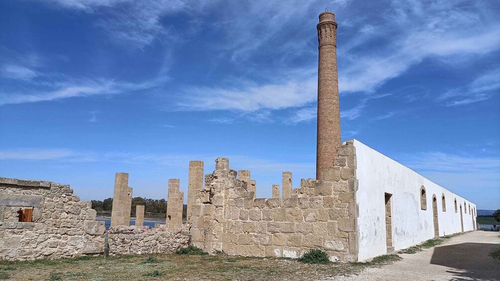 Picture 7 for Activity From Siracusa: Vendicari Nature Reserve Guided Tour