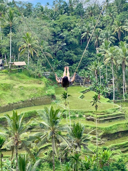 Picture 7 for Activity Ubud rice terrace, waterfall, and temple guided trip Bali