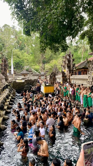 Picture 9 for Activity Ubud rice terrace, waterfall, and temple guided trip Bali