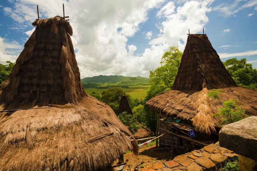 Picture 4 for Activity West Sumba: Highlights Tour with Ancient Villages