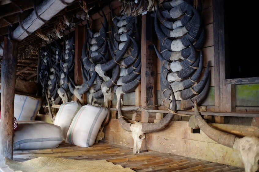 Picture 2 for Activity West Sumba: Highlights Tour with Ancient Villages