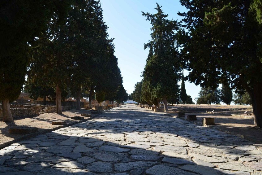 Picture 3 for Activity Italica, city of emperors