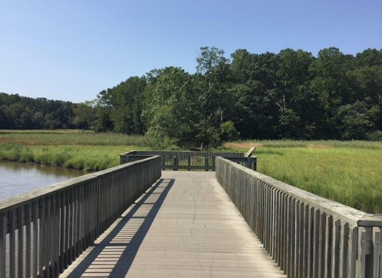 Picture 1 for Activity Chesapeake Beach: Guided Walking Tour of the Railway Trail