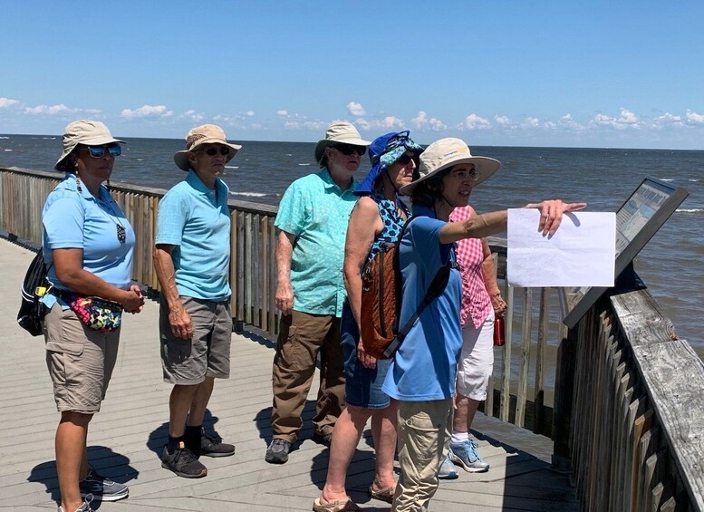 Picture 2 for Activity Chesapeake Beach: Guided Walking Tour of the Railway Trail