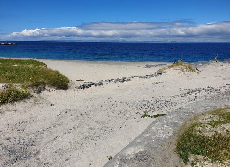 Picture 9 for Activity From Galway: Day Trip to Inisheer with Bike or Bus Tour