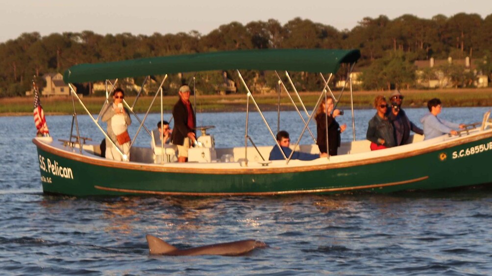 Picture 11 for Activity Hilton Head Island: 90-Minute Dolphin & Nature Tour