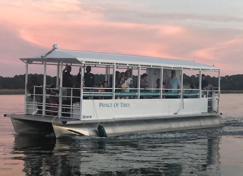Picture 3 for Activity Hilton Head Island: 90-Minute Dolphin & Nature Tour