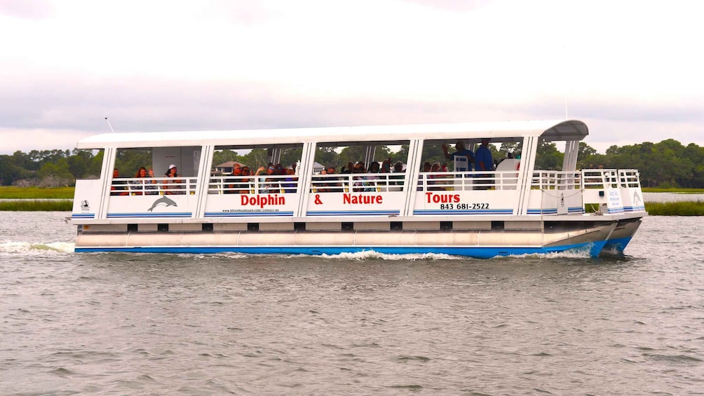 Picture 12 for Activity Hilton Head Island: 90-Minute Dolphin & Nature Tour