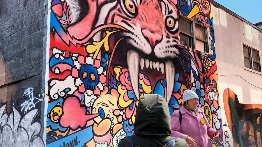 Montreal: Guided Walking Tour of Montreal's Murals