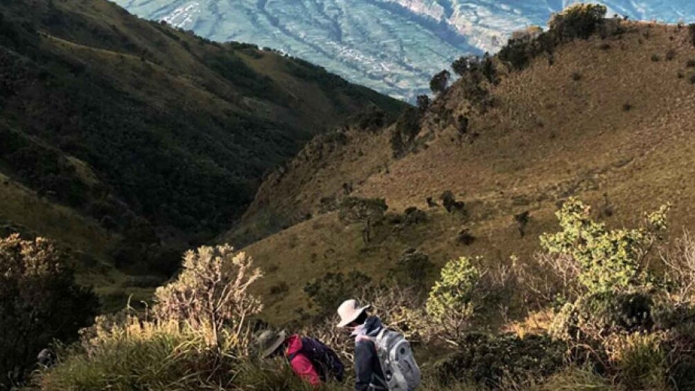Picture 2 for Activity 2D1N Mt. Merbabu Camping Hike From Yogyakarta