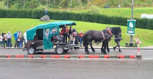 Baijerin kohokohdat Yksityinen päiväretki
