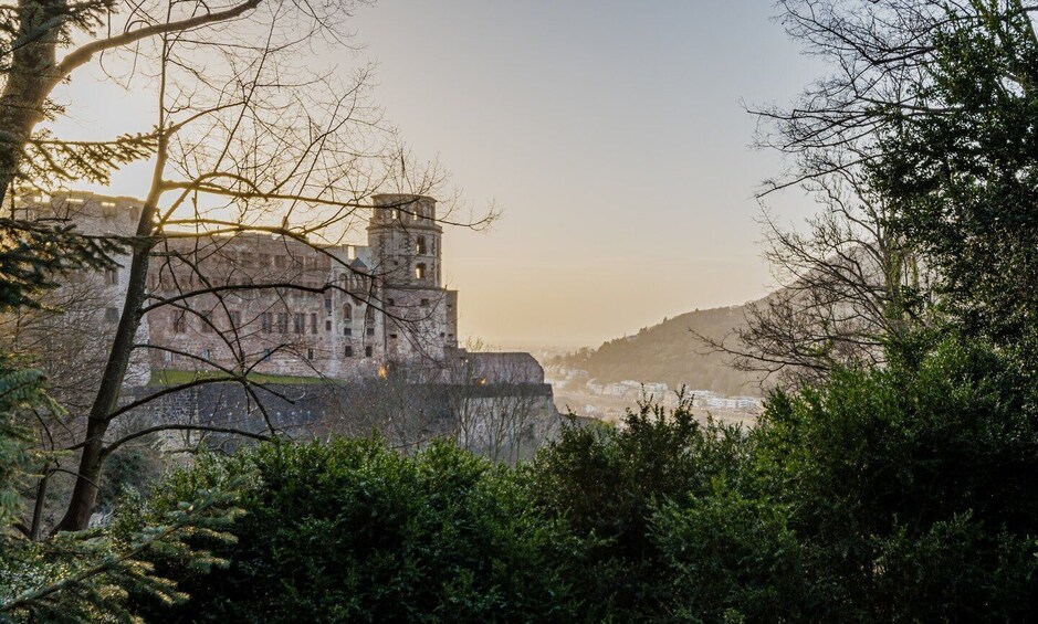 Picture 2 for Activity From Frankfurt: Heidelberg & Rothenburg Daytour