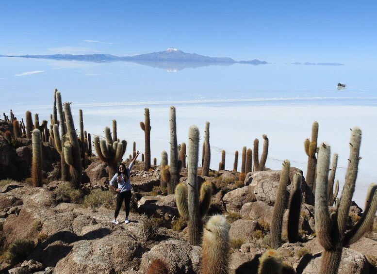 Picture 7 for Activity Uyuni: Uyuni Salt Flats and San Pedro de Atacama 3-Day Tour